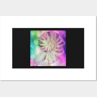 NAUTILUS SEA SHELL IMPRESSION PINK Posters and Art